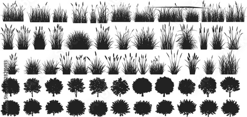 Large Collection of Black Nature Silhouettes Including Grass Reeds Bulrush Cattails Deciduous Trees and Garden Shrubs for Landscape Architecture Design and Vector Illustration