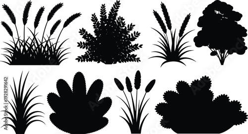 Various black silhouettes of plants and foliage on a white background