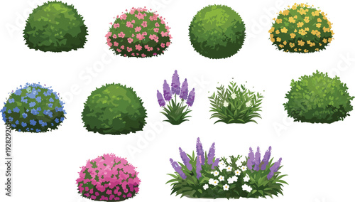 Garden shrubs collection, flowering bushes illustration, vibrant green foliage, natural plant set, landscaping elements, seasonal floral decoration design.