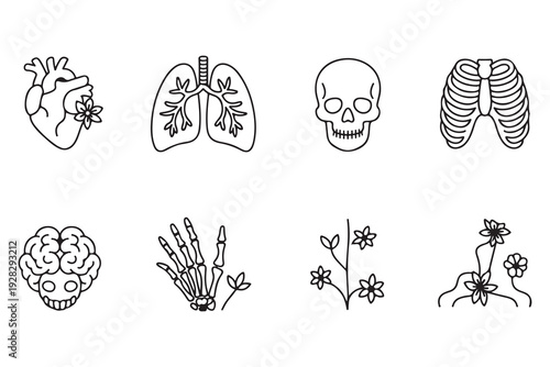Set of human internal organs and bones icons with floral elements, vector illustration of anatomical parts