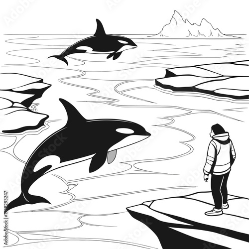 Black and white of orcas and person on ice floes whale