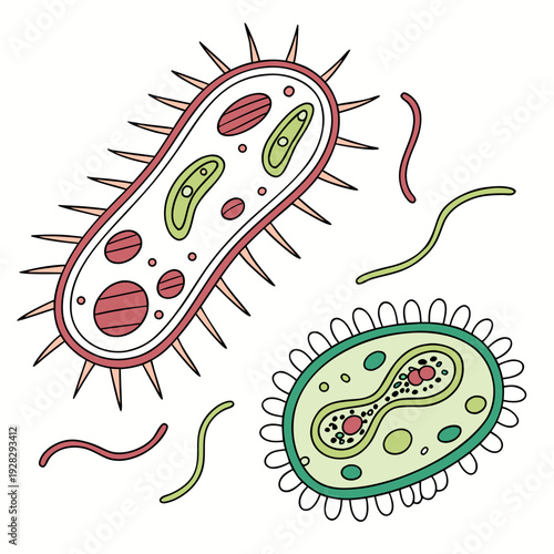 Microscopic bacteria and virus microorganism microbe