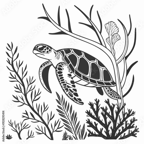 Black and white sea turtle swimming among seaweed and coral