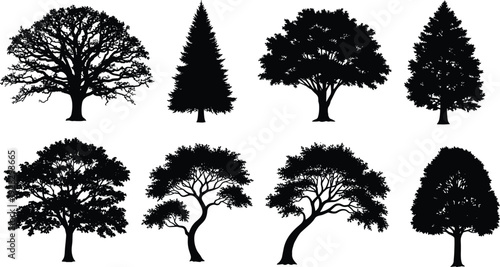 Silhouettes of diverse tree forms with unique branching patterns and canopy shapes, illustrating forest diversity, landscape design, botany study, ecology, and natural environment illustration.