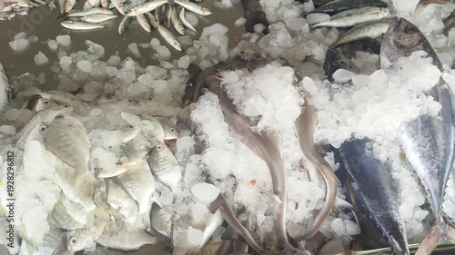 Local fishmarket retail shop stall display or showcase different variety of fresh raw fish with ice for sale. Commercial fishing market, industry or business in india concept. Closeup top view.