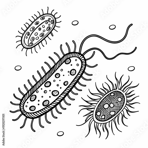 Detailed of bacteria cells with flagella and cilia