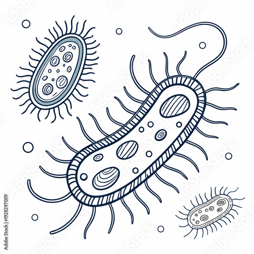 Detailed of bacteria cells with flagella and pili microorganisms