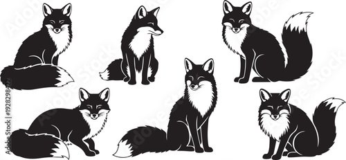 Seven black and white cats in various poses and positions