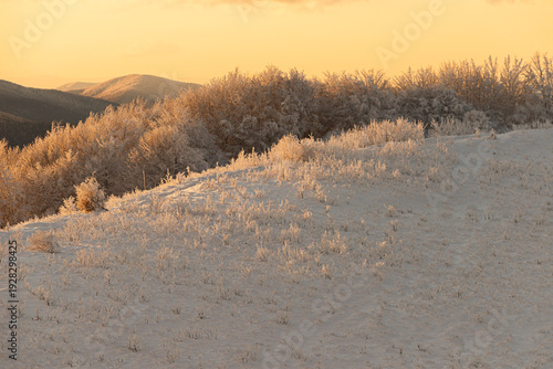 Wallpaper Mural Scenic winter landscape of frosted mountain meadows and hills glowing in the golden light of a sunset or sunrise. Trail to Smerek, Bieszczady National Park, Poland. Torontodigital.ca