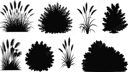 Eight black silhouettes of various plants and bushes on a white background