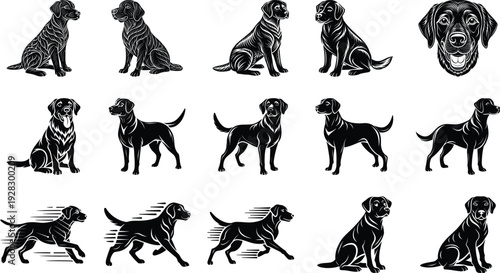 Fifteen Labrador Retriever Dog Icons Set Sitting Standing Running Vector Illustration Flat Design