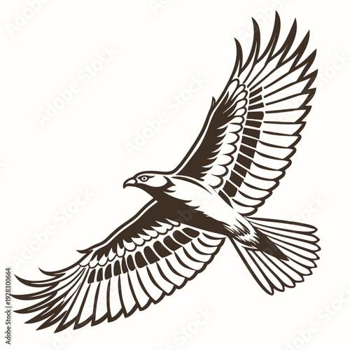 Brown eagle flying with outstretched wings bird