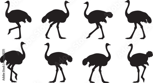 A collection of nine different black silhouettes of ostriches in various poses