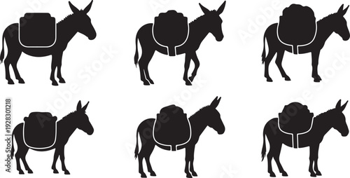 Seven donkeys with saddles standing in a row on a white background