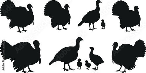 Silhouettes of Turkeys and Chicks in Various Poses on White Background black