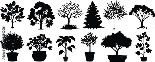 Black silhouette collection of diverse trees and potted plants featuring deciduous evergreens shrubs and indoor houseplants isolated on white background for landscape design vector