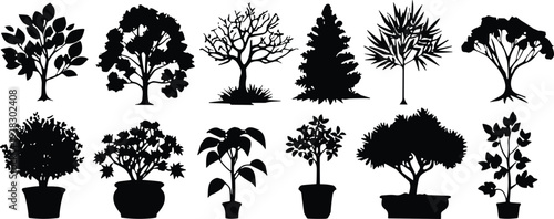 Black Tree and Potted Plant Silhouette Collection Featuring Deciduous Trees Conifers Bonsai and IndooBackgroundBlack Tree and Potted Plant Silhouette Collection Featuring Deciduous Tre