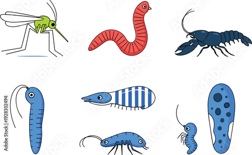 Cartoon Collection of Insects and Microorganisms Featuring Mosquito Red Worm Crawfish and Aquatic Microbes Isolated on White Background Flat Vector Illustration