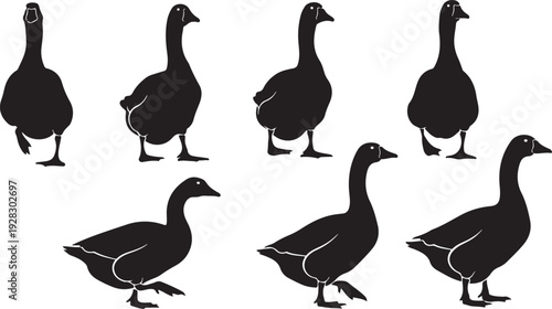 Seven black silhouettes of ducks in various poses and orientations