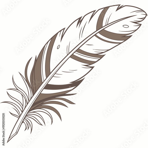 Brown and white feather quill bird feather
