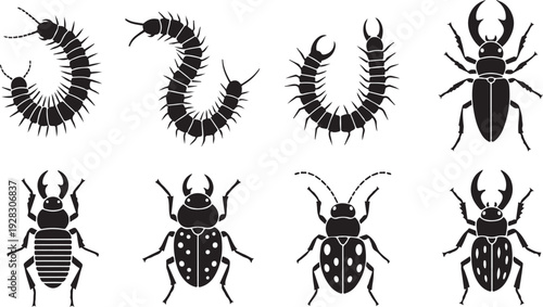 A diverse collection of insects and centipedes showcasing their unique body structures and features
