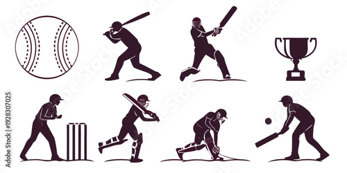 A visual representation of the stages of a cricket match from preparation to victory Vector