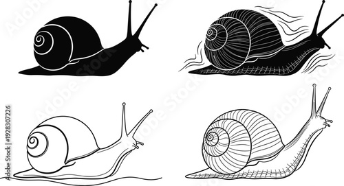 Snail illustration set, black silhouette and detailed line art gastropod drawings, isolated vector mollusk collection on white background