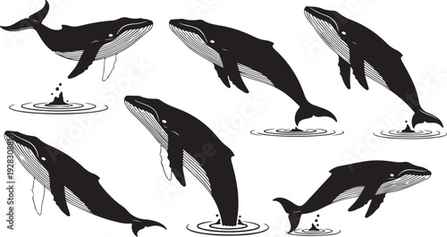 Whales breaching and tail slapping in the ocean, showcasing their majestic movements.