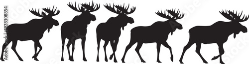 Five moose silhouettes walking in a line on a white background