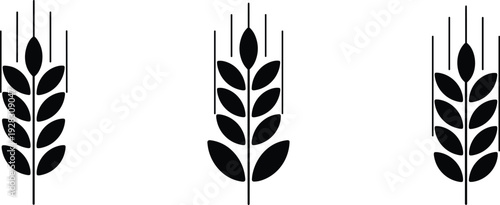 Three black and white wheat stalk with varying leaf and grain details stalks grains leaves