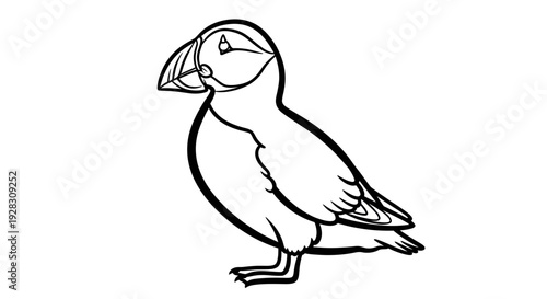 Simple line art drawing of a puffin bird standing.