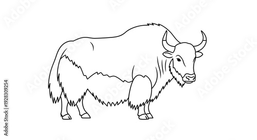 Line Art Drawing of a Majestic Yak with Horns and Shaggy Fur.