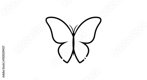 Simple elegant butterfly outline drawing on white background.