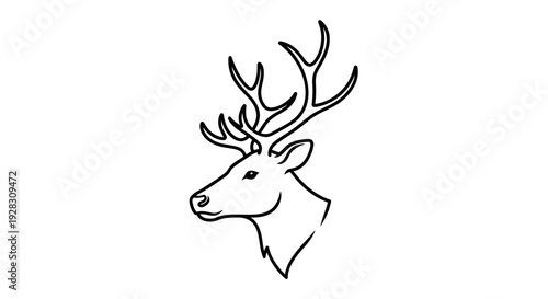 Elegant Deer Head Outline Drawing with Majestic Antlers.