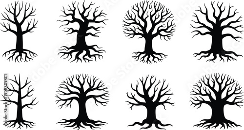 Collection of bare tree silhouettes with detailed roots isolated on white background winter forest black vector illustration set
