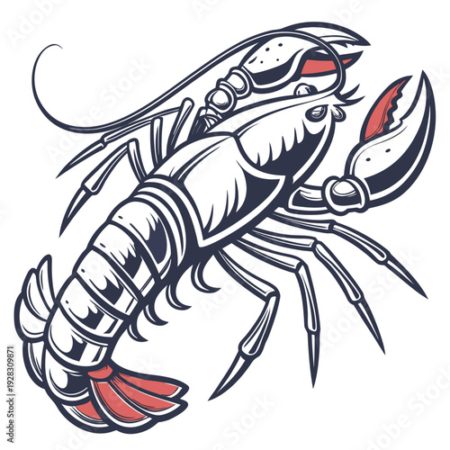Of a lobster with red accents on white background crustacean