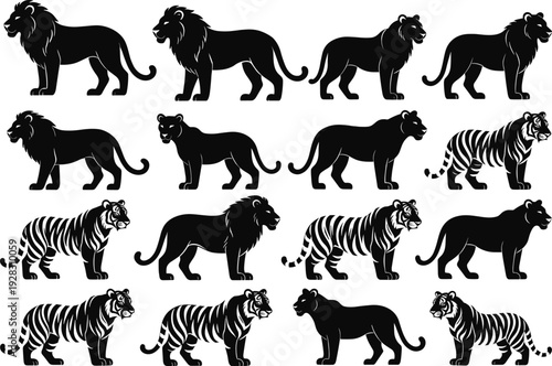 Black lion and tiger silhouettes collection, majestic big cats standing profiles with manes and stripes, various poses vector set for wildlife, safari, zoo and animal design projects