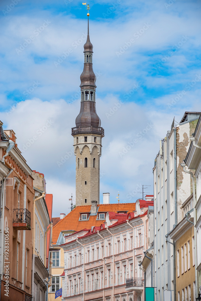 Obraz premium Old Town Tallinn Street with City Hall Tower and Red Roofs Background for Text