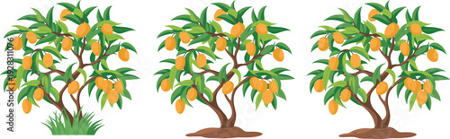 Three lush mango trees with ripe yellow-orange fruits, green foliage, sturdy trunks, agricultural illustration for tropical farming, orchard design, botany education, and seasonal harvest themes