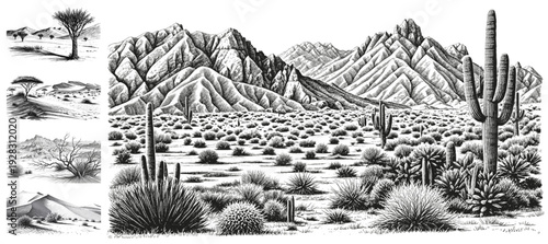 Barren Beauty Desert line art drawing sketch nature landscape vector hand drawn illustration svg