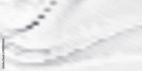 abstract withe and black are light pattern with the gradient is the with floor wall metal texture soft tech diagonal background black dark sleek clean modern.