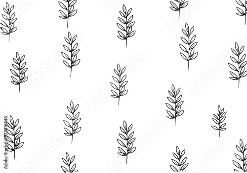 Simple Black Outline Botanical Branches Pattern White Background Hand Drawn Style