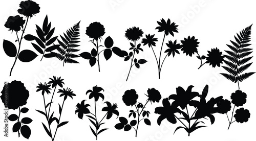 Black floral silhouettes of roses lilies and ferns isolated on white background, botanical collection of garden flowers for minimalist nature design.
