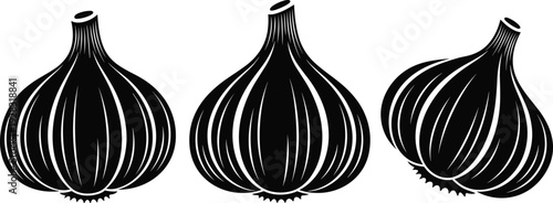Fresh garlic bulbs set in solid black silhouette style, organic vegetable icons collection, cad drawing flat vector illustration, healthy cooking ingredients, spices