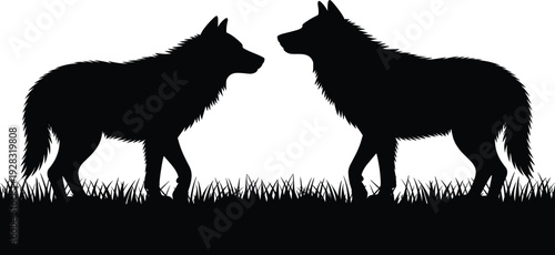 Black silhouette of two wolves standing and facing each other in tall grass, wild predator animal vector for nature.