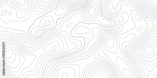 Abstract pattern with lines seamless pattern and topography.  Modern design with White background with topographic wavy pattern design.Contour background geographic grid. Vector illustration.