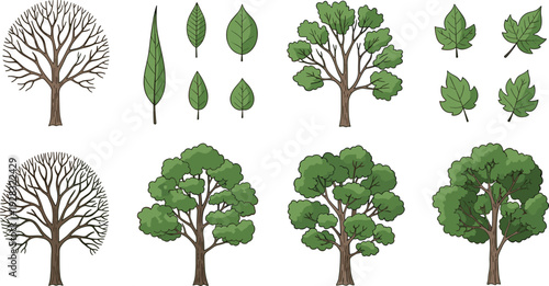 Hand drawn tree and leaf vector collection flat botanical elements set