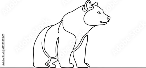 Simple continuous line drawing depicts a stoic bear standing on a white background