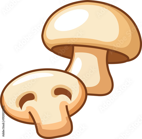 Fresh Button Mushrooms Illustration for Cooking Design