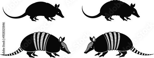Armadillo Silhouettes and Detailed Vector Illustrations Set with Armored Shell Mammal Profiles for Wildlife Branding Nature Education and Zoological Design